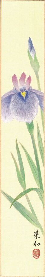 短冊（春）白木 菜加作画「菖蒲」 短冊寸法36.3X6cm