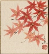 寸松庵色紙（秋）中谷 文魚作画「紅葉」 寸松庵寸法13.6X12.1cm