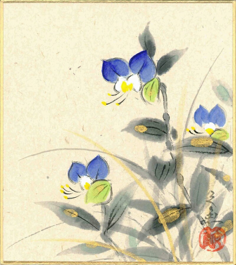 寸松庵色紙（春）中谷 文魚作画「つゆ草」 寸松庵寸法13.6X12.1cm