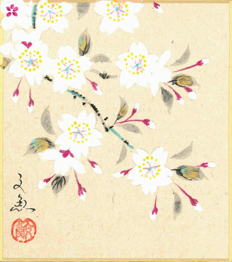 寸松庵色紙（春）中谷 文魚作画「桜（左）」 寸松庵寸法13.6X12.1cm
