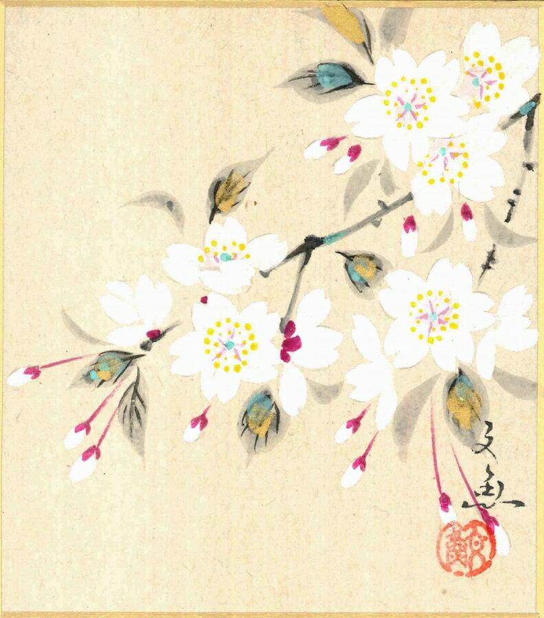 寸松庵色紙（春）中谷 文魚作画「桜（右）」 寸松庵寸法13.6X12.1cm