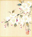 寸松庵色紙(春)中谷 文魚作画「桜(右)」 寸松庵寸法13.6X12.1cm