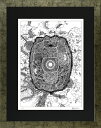 絵画 額装 デジタル版画 ROBERT EDWIN 作 「SHELL」 大衣サイズ -新品