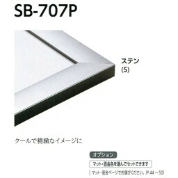 水彩用額縁 アルミフレーム SB-707P サイズF8号 ステン