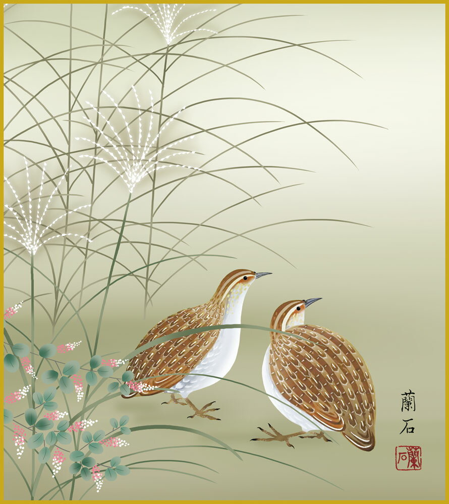 ٥ǥǲ ÿݿ ̾ʣ迧 ˡ 24.2x27.3cm ⸫Сֽ