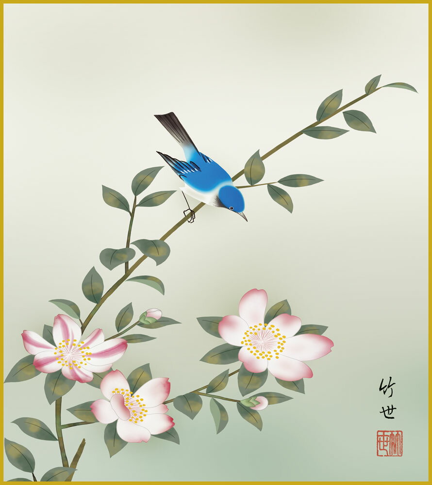 ٥ǥǲ ÿݿ ̾ʣ迧 ˡ 24.2x27.3cm ¼ֻ֡