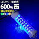 漁船 led ライト しらすうなぎ 集魚灯 LED 水中集魚灯 イカ釣り 12v24v 600w 黄色 ブルー グリーン 白光 ホワイト yellow 黄色光 ...