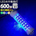 楽天東和株式会社楽天市場店漁船 led ライト しらすうなぎ 集魚灯 LED 水中集魚灯 イカ釣り 12v24v 600w 黄色 ブルー グリーン 白光 ホワイト yellow 黄色光 イエロー 仕掛け 夜焚き 集魚ライト 水中ライト 船舶ライト 船舶 釣り 釣果 シラスウナギ 水中イルミネーション 照明 オレンジ 堤防釣り