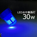 【2個セット】 led 水中集魚灯 集魚ライト 水中ライト 青 ブルー 30W 堤防 led 船舶ライト 船舶 釣り 釣果 夜焚き コンパクト漁船 led ライ...