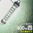 2ĥåȡshirasu  led 饤 餹ʤ  LED 潸  12v24v 400w  ۥ磻 ųݤ ʲ 饤 饤 饤    饹ʥ 楤ߥ͡   