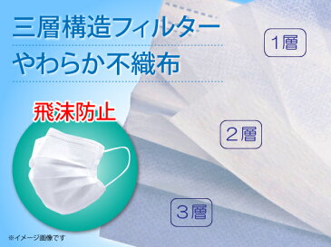 2日以内に仙台市より発送 即納 三層構造 フェイスマスク 使い捨て 不織布 マスク 50枚入り ウィルス対策 花粉症対策 PM2.5対応 ウイルス飛沫 カット 風邪 ハウスダスト 防護 防塵 男女兼用 プリーツマスク ホワイト 送料無料 返品不可 在庫有り