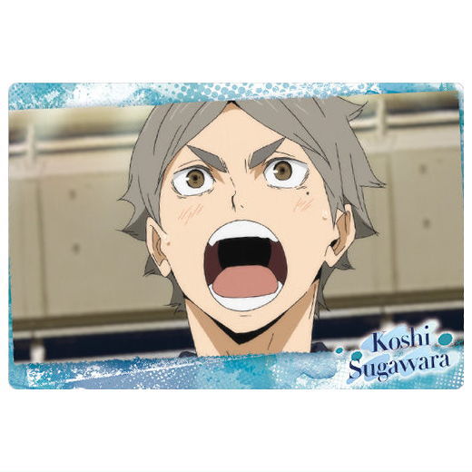 ハイキュー!! ウエハース5 [10.菅原孝支(キャラクターカード2)]【ネコポス配送対応】【C】【カード】