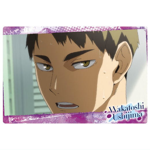 ハイキュー!! ウエハース5 [12.牛島若利(キャラクターカード2)]【ネコポス配送対応】【C】【カード】