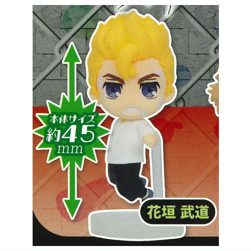 ٥󥸥㡼 Ԥ󥳥ե奢 [1.ֳƻ] ͥݥԲ ۡC[sale240301]