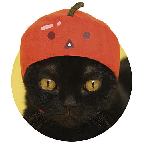 かわいい かわいい ねこのかぶりもの 第34弾 スイカゲーム [2.りんご]【ネコポス配送対応】【C】