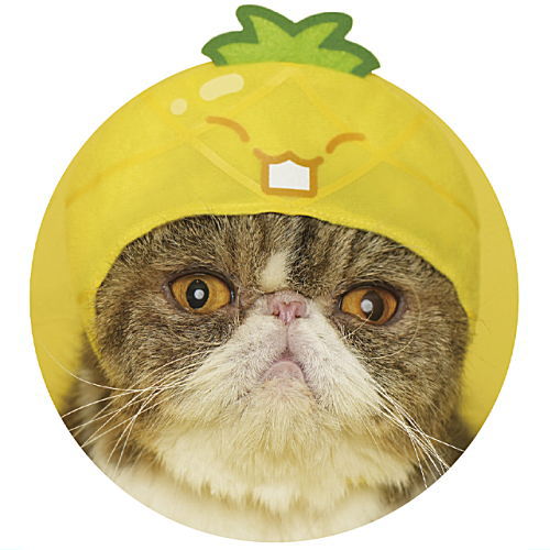 かわいい かわいい ねこのかぶりもの 第34弾 スイカゲーム [5.パイナップル]【ネコポス配送対応】【C】