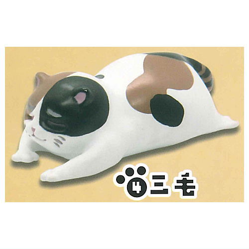 不服前進猫 [4.三毛]【ネコポス配送対応】【C】