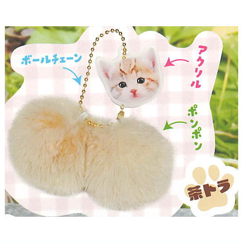 にゃんたますこっと [1.茶トラ]【ネコポス配送対応】【C】のサムネイル