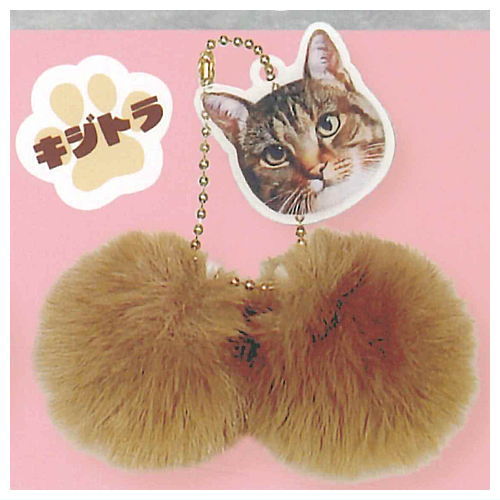 にゃんたますこっと [4.キジトラ]【ネコポス配送対応】【C】のサムネイル