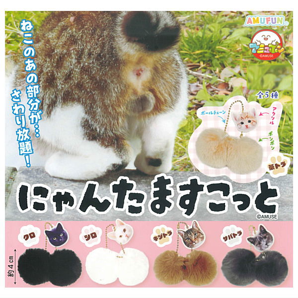 【全部揃ってます!!】にゃんたますこっと [全5種セット(フルコンプ)]【ネコポス配送対応】【C】のサムネイル