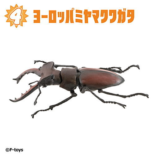 楽天市場】昆虫(食玩・おまけ|コレクション):ホビーの通販 楽天市場】昆虫(食玩・おまけ|コレクション):ホビーの通販