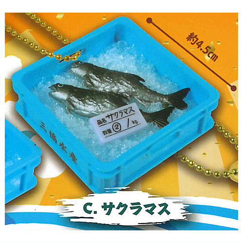 カゴ入り！市場のおさかなマスコット [3.サクラマス]【ネコポス配送対応】【C】