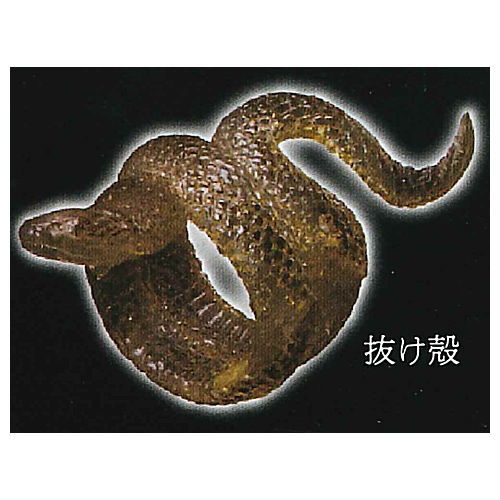 奇奇奇 蛇輪(へびわ) 弐 [5.抜け殻]【 ネコポス不可 】【C】
