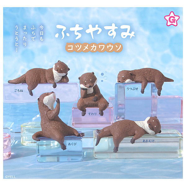 【全部揃ってます!!】ふちやすみコツメカワウソ [全5種セット(フルコンプ)]【ネコポス配送対応】【C】のサムネイル