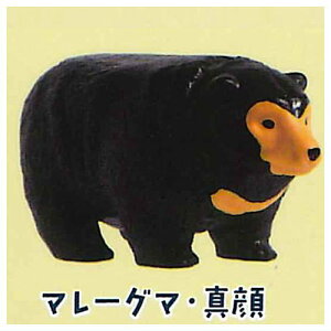 クマピラミッド [1.マレーグマ・真顔]【 ネコポス不可 】【C】