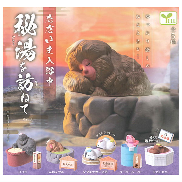 【全部揃ってます!!】ただいま入浴中 秘湯を訪ねて [全5種セット(フルコンプ)]【 ネコポス不可 】のサムネイル