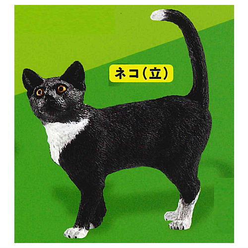 Schleich カプセルシュライヒ Cat & dog [8.ネコ 立 ]【ネコポス配送対応】【C】[sale230204]
