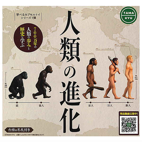 【全部揃ってます!!】TAMA-KYU 人類の進化 [全5種セット(フルコンプ)]【ネコポス配送対応】【C】のサムネイル