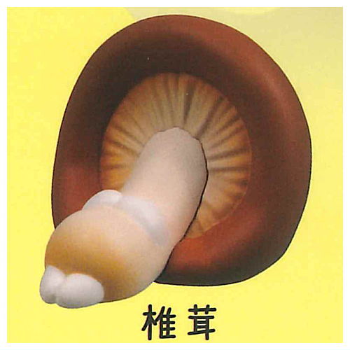 【品切中】シャキッとしな菜！2 [1.椎茸]【 ネコポス不可 】【C】のサムネイル