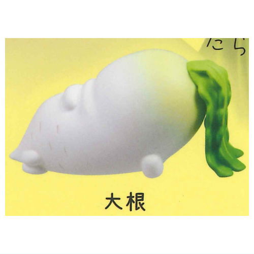 【品切中】シャキッとしな菜！2 [3.大根]【ネコポス配送対応】【C】のサムネイル