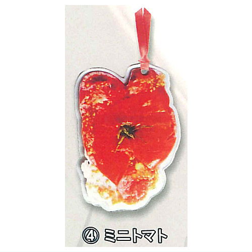 押しつぶしおり [4.ミニトマト]【ネコポス配送対応】【C】