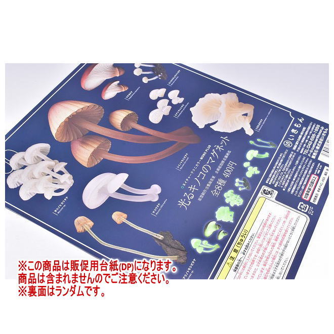 ネイチャーテクニカラーMONO PLUS 光るキノコのマグネット ［DP(台紙)(※裏面のデザインはランダムです) ※商品は含まれません］[250612]【ネコポス配送対応】