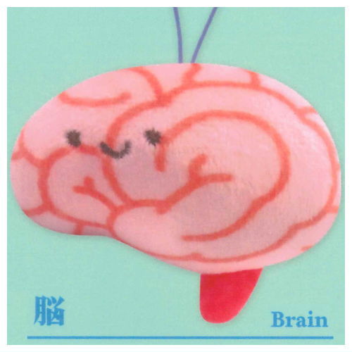 ないぞうくんとさいぼうちゃん。マスコット(スペシャル) [2.脳]【ネコポス配送対応】【C】