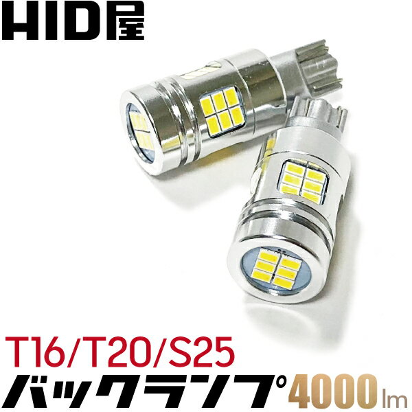 LED obNv LED T16 T20 S25 zCg  ȃGl 4000lm Philips LED`bv 6500k HID