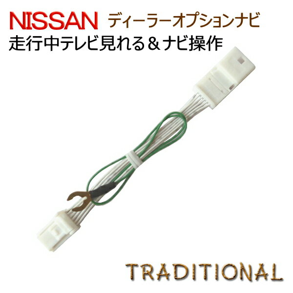  ƥӥå ʥӥå ǥ顼ץ ʥTVå ʥ NISSAN  󥻥顼