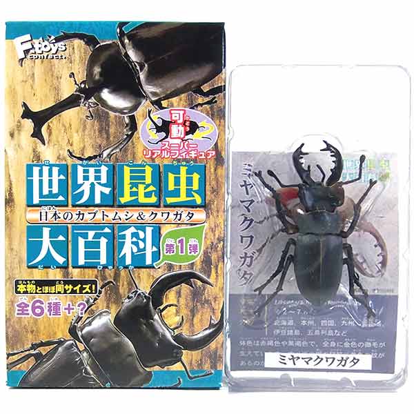 楽天市場】ミヤマクワガタ(フィギュア|コレクション):ホビー 楽天市場】ミヤマクワガタ(フィギュア|コレクション):ホビー