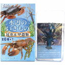 【SP】 エフトイズ 水辺のいきもの 昆虫&甲穀類 シークレット ニホンザリガニ(青) ミニチュア フィギュア 動物 植物 食玩 半完成品 単品