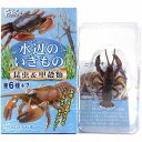 【5】 エフトイズ 水辺のいきもの 昆虫&甲穀類 ニホンザリガニ ミニチュア フィギュア 動物 植物 食玩 半完成品 単品