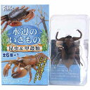 【1】 エフトイズ 水辺のいきもの 昆虫&甲穀類 タガメ ミニチュア フィギュア 動物 植物 食玩 半完成品 単品