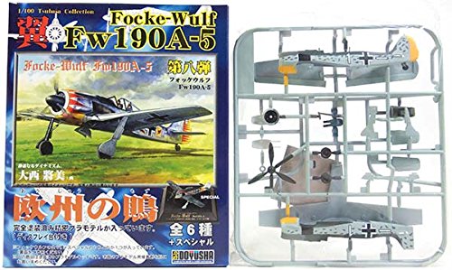 5 Ƹͧ 1/100 㥳쥯 8  Focke-Wulf Fw190A-5 26ƮҶ 4Ĺ åȡ奿٥륬 Ʈ ߥ˥奢 Ⱦ ץ饹åå ץ BOXե奢 ñ