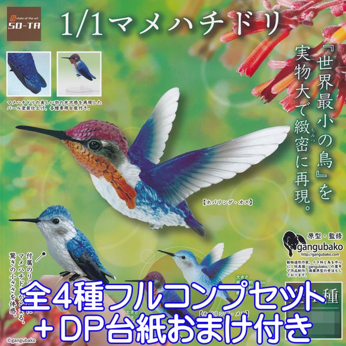 1/1 マメハチドリ 鳥 野鳥 世界最小 実物大 gangubako リング 生き物 動物 グッズ フィギュア ガチャガチャ SO-TA（全4種フルコンプセット＋DP台紙おまけ付き） 【即納 在庫品】【数量限定】