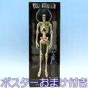 ワンピース THE GRANDLINE TREASURES vol.2 -SKELETON SPECIMEN- BROOK ブルック キャストオフ可能 プライズ バンプレスト（ポスターおまけ付き） 【即納】【05P03Dec16】