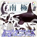 ネイチャーテクニカラー 南極 NATURE TECHNI COLOUR ペンギン 動物 鳥 魚 フィギュア グッズ ガチャ いきもん （シークレット付き全8種フルコンプセット） 【即納】【数量限定】【セール品】