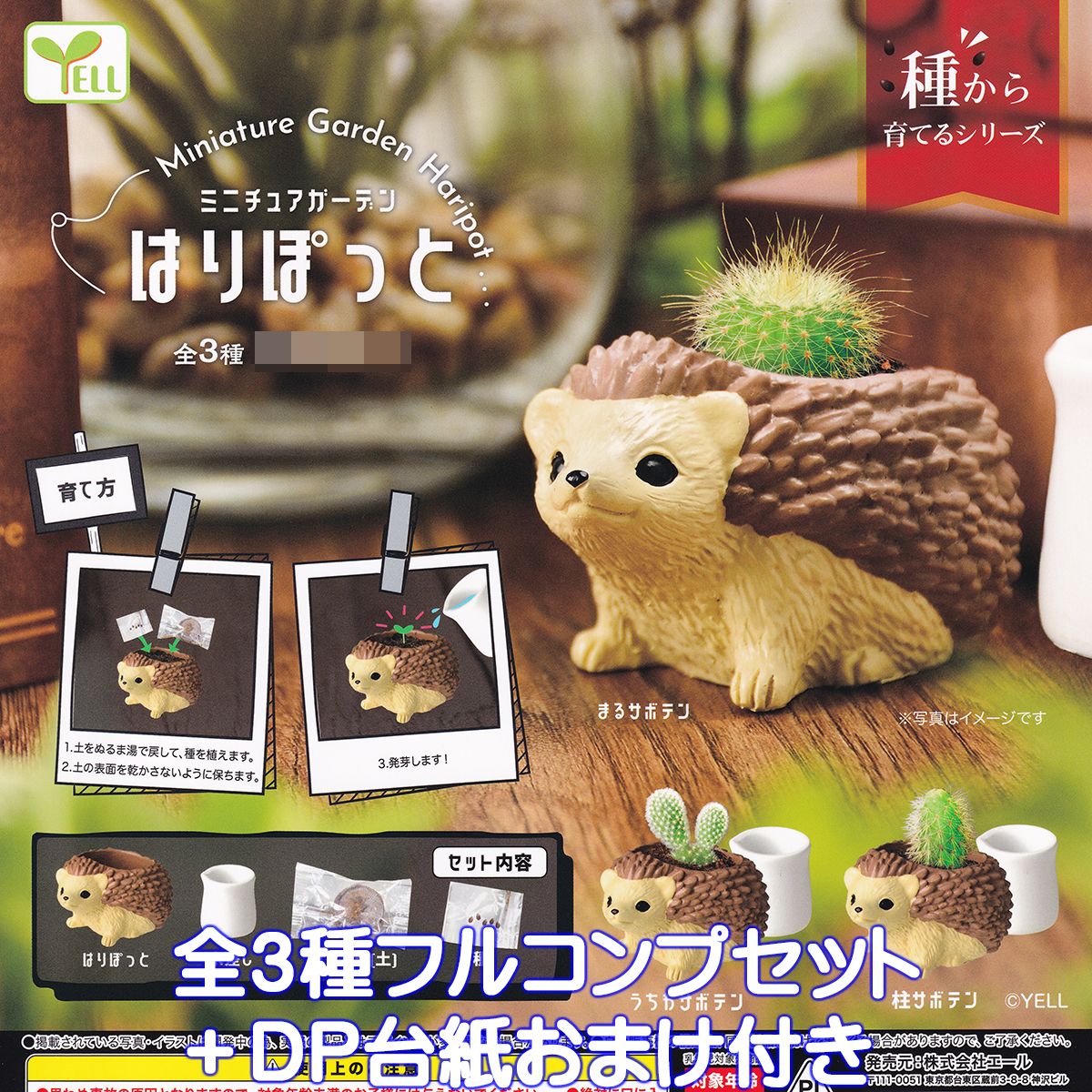 ミニチュアガーデン はりぽっと エール 【全3種フルコンプセット＋DP台紙おまけ付き】 Miniature Garden Haripot 種から育てるシリーズ はりねずみ グッズ フィギュア ミニチュア 鉢 ガチャガチャ 【即納 在庫品】【数量限定】のサムネイル