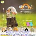 猫ブリッジ もう猫背とは言わせにゃい エール 【全6種フルコンプセット+DP台紙おまけ付き】 ストレッチ 猫 グッズ ミニチュア フィギュア ガチャガチャ 【即納 在庫品】【数量限定】【フルコンプリート】