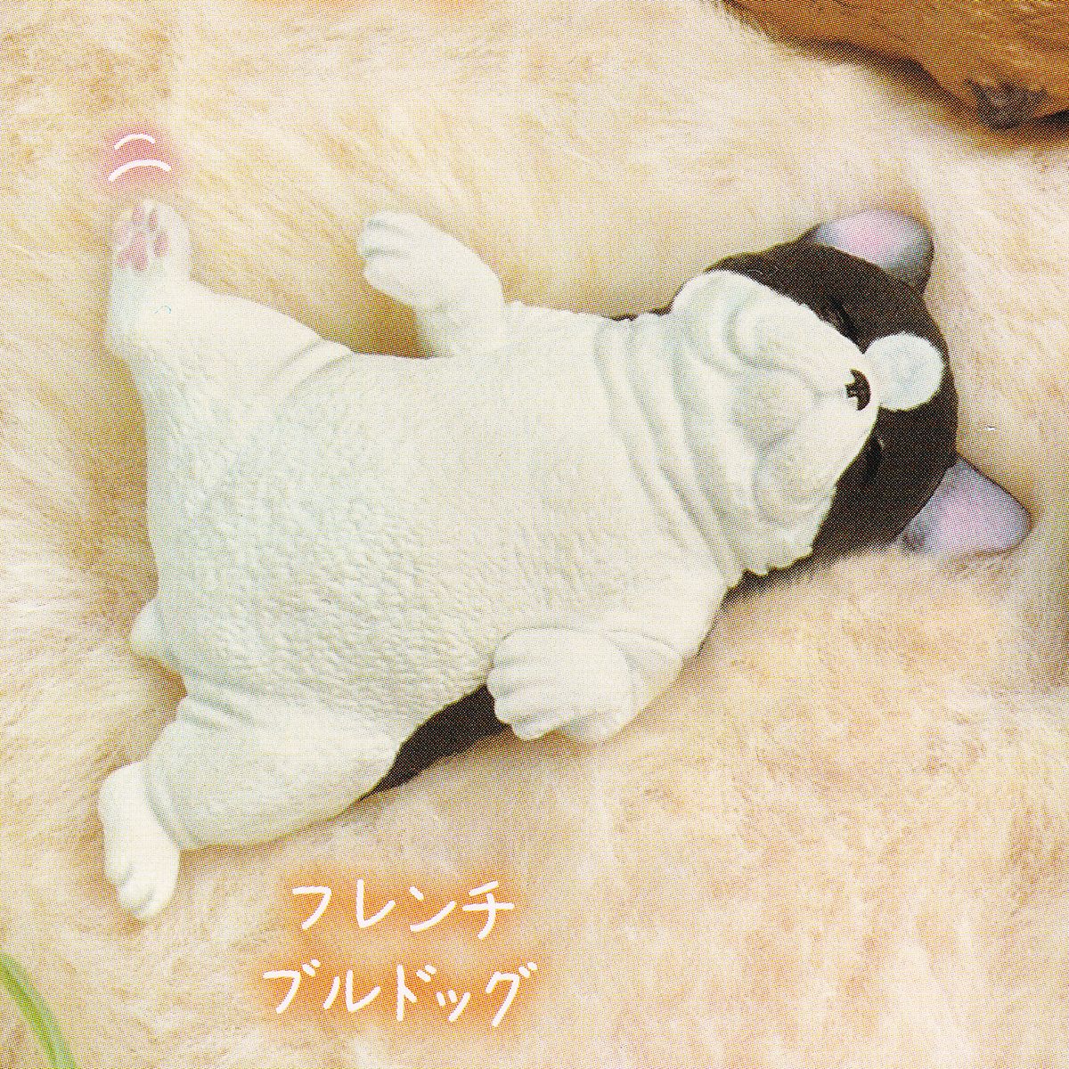 フレンチブルドッグ 【すやすやおねむ エール 動物 アニマル 寝姿 グッズ フィギュア ガチャガチャ】 【即納 在庫品】【ネコポス配送対応可能】【数量限定】【セール品】のサムネイル